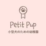 大阪肥後橋｜小型犬のための幼稚園Petit Pup（プチパップ）